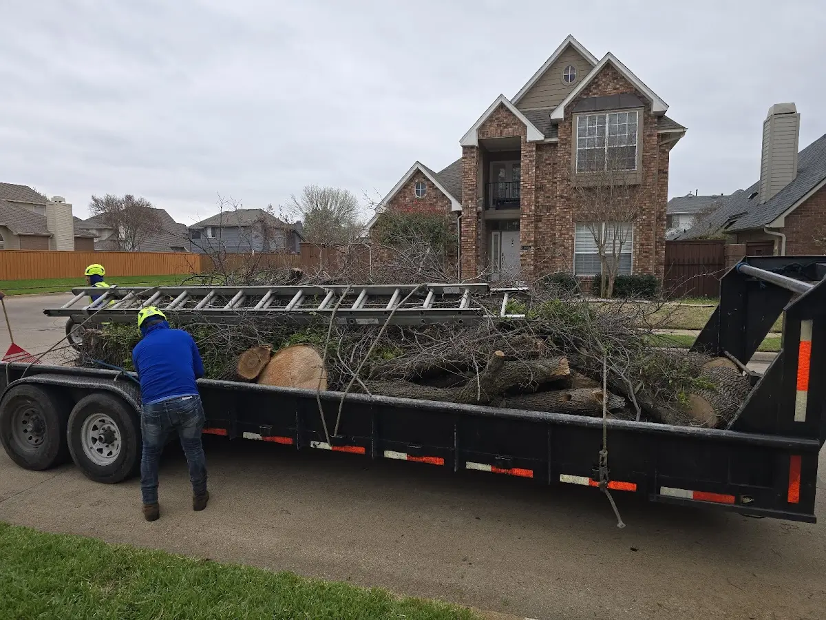 Expert Tree Pest Control with proper safety equipment in Lakeside Marblehead